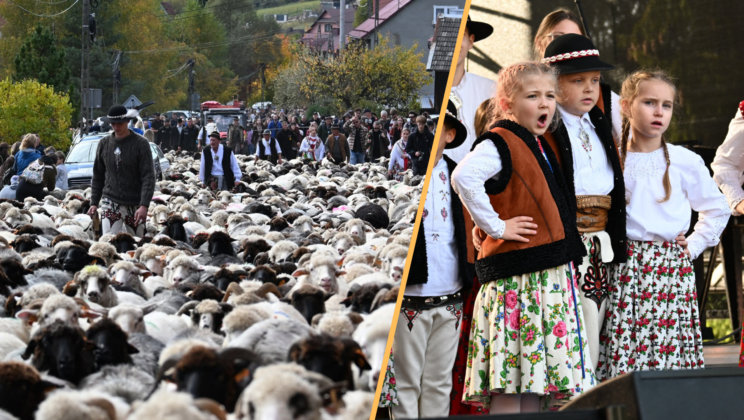 Tradycja, muzyka, wspólne świętowanie – IV Pieniński Wypas Kulturowy za nami